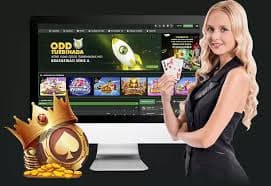 1xbet18 ব্যবহারকারীর গোপনীয়তা ও তথ্য সুরক্ষা নীতি